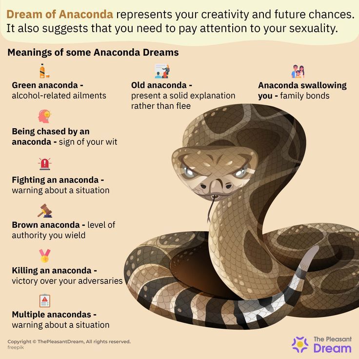 Anaconda Dream in Islam (What does it foretell?)
