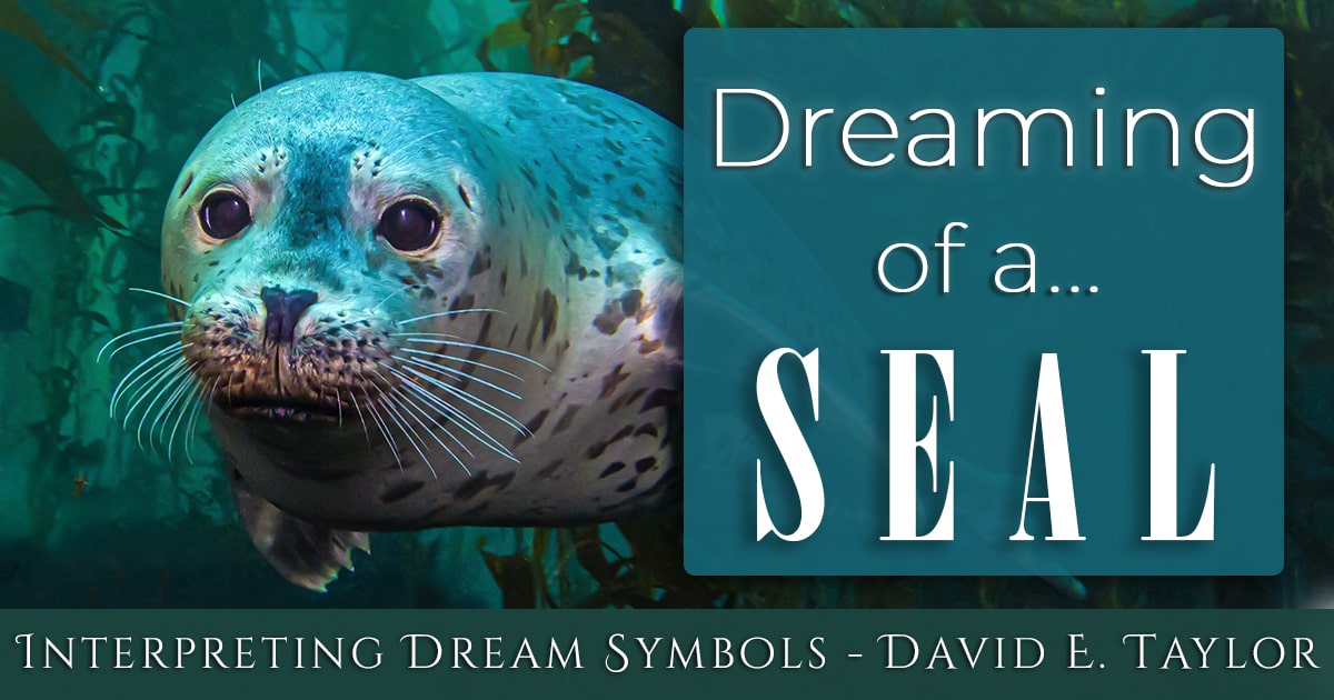 Different Kinds of seal in a dream and What They All Could Mean!