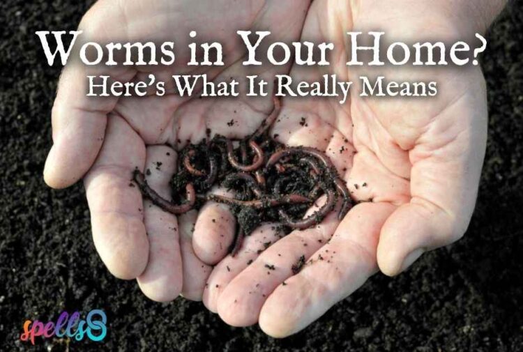 Worm Spiritual Meaning: Why Does Seeing a Worm Indicate Change?