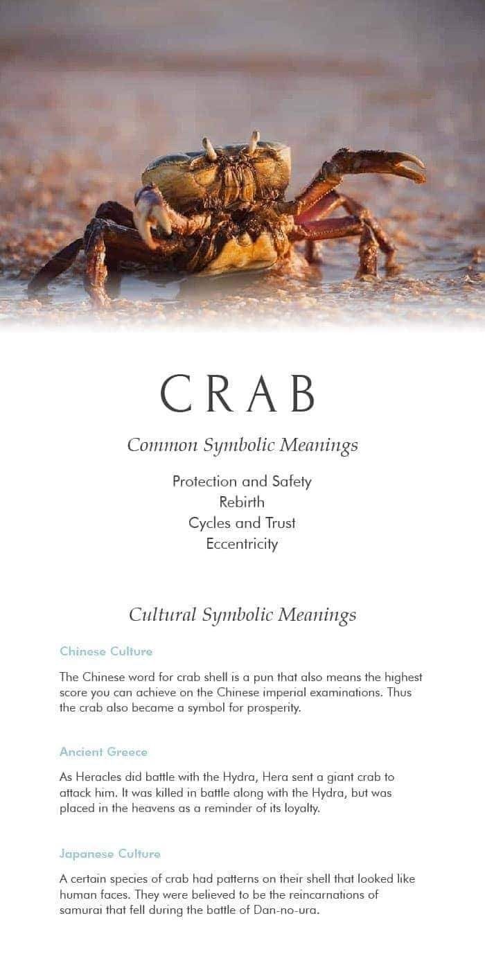 Crab Spiritual Meaning: What does it represent?