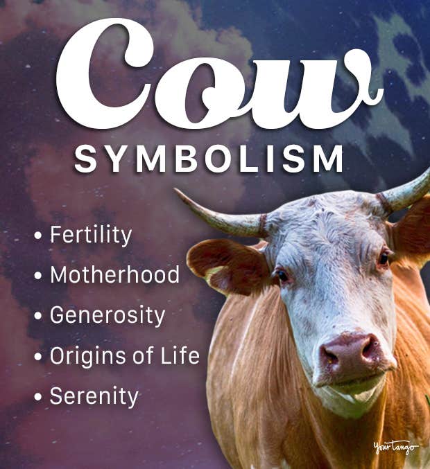 Discover the spiritual meaning of cows in a dream interpretation