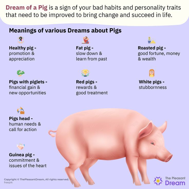 Pig meaning spiritual explained: Everything you need to know about its symbolism