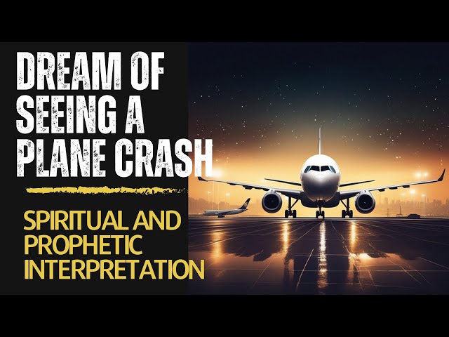 Ancient Views： Plane Crash Dream