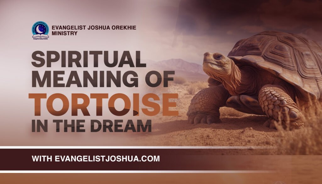 Dream meaning of tortoise: Is it a sign of good luck or potential trouble?