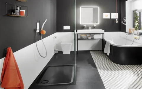 Dream dirty bathroom (What now？)