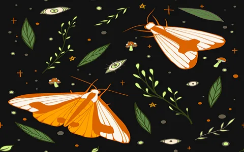 See a moth？ Uncover its spiritual meaning today!