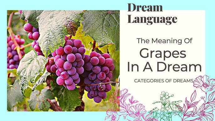 Expert dream interpretation grapes analysis and its impact on you!