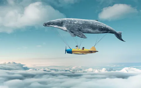 Why do I keep having dreams about chipped teeth? The psychological reason.