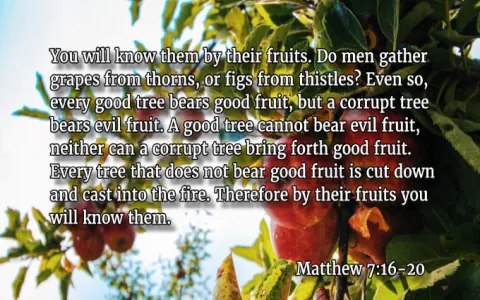 Unveiling the truth： what do grapes symbolize in the bible？ (The real meaning)