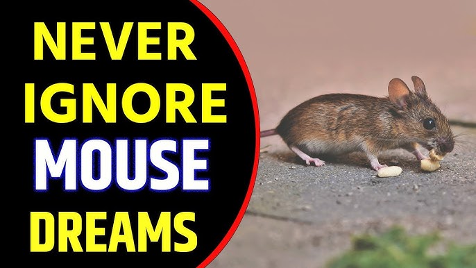 What does it mean when u dream about mice at home?