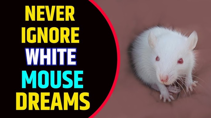 Your White Mice Dream Meaning: Simple Interpretations You Need!