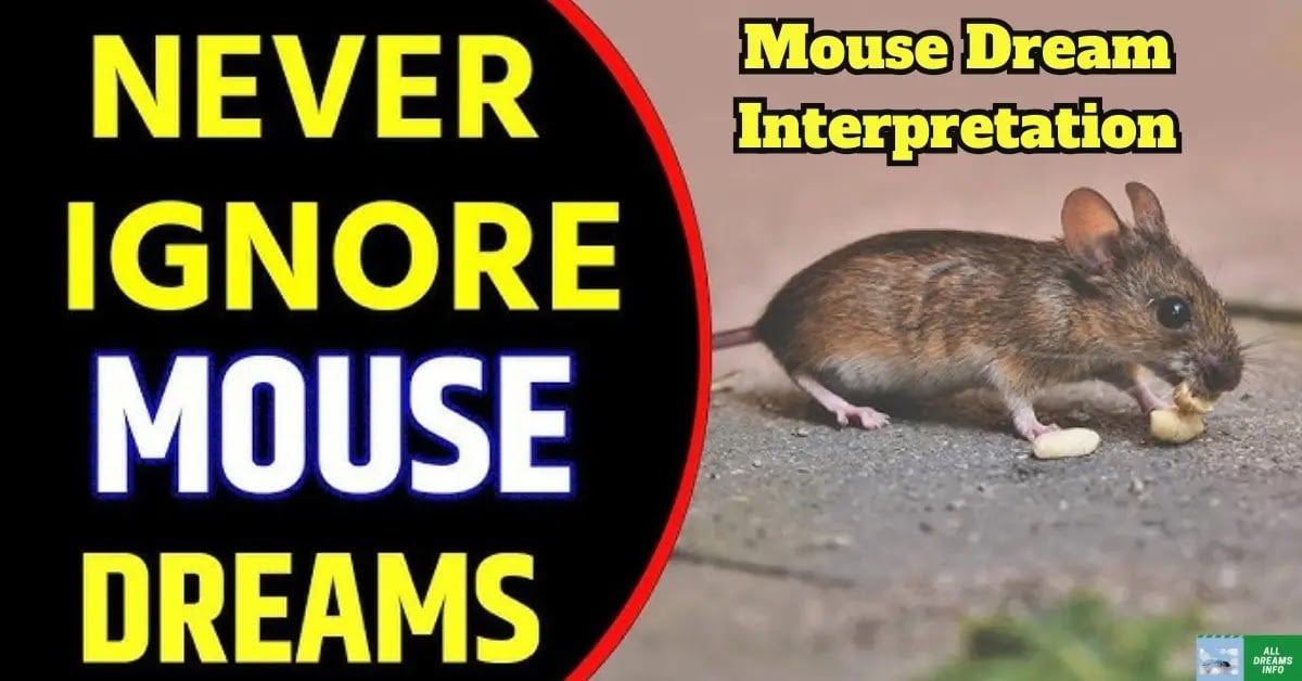 What Do Dreams About Mouse Infestation Reveal About Your Life Now?