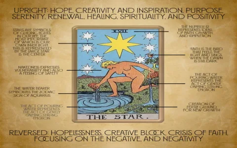 Stars Symbolic Meaning： What Do They Represent in Life？