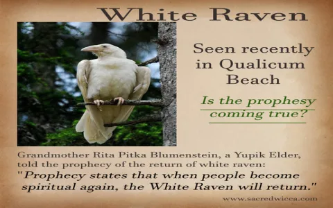 Discovering the Mice Spiritual Meaning: Your Animal Totem Guide