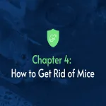 Stop those dreams of mice infestation with this technique