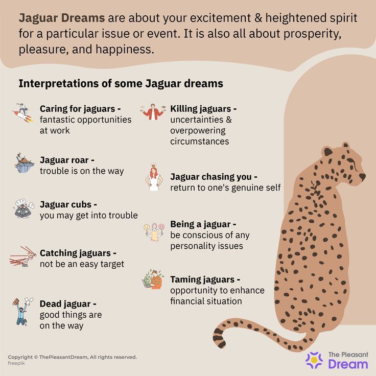 Dreaming of a Jaguar: What Happens If It Attacks You in a Dream?